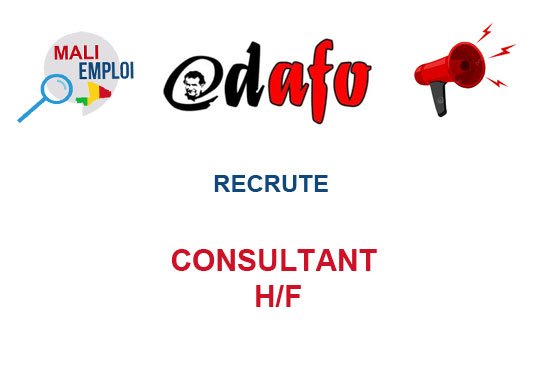 ADAFO RECRUTE CONSULTANT H/F