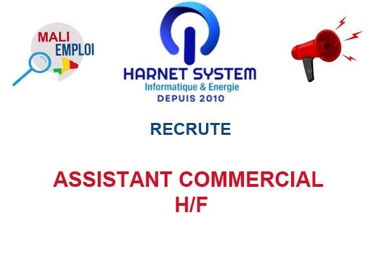 HARNET SYSTEM MALI RECRUTE ASSISTANT COMMERCIAL H/F