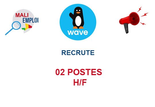 WAVE MALI RECRUTE 02 POSTES H/F