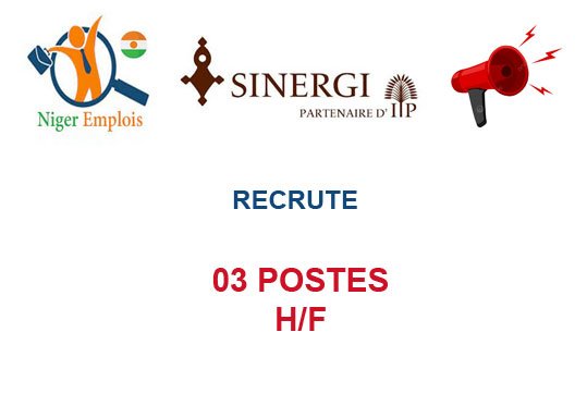 SINERGI NIGER RECRUTE 03 POSTES H/F