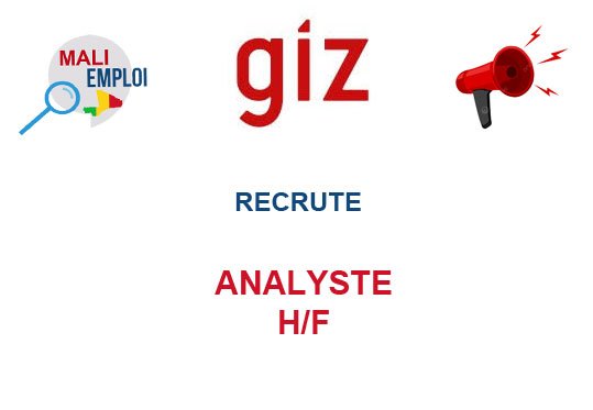 GIZ RECRUTE ANALYSTE H/F