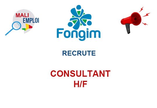 FONGIM RECRUTE CONSULTANT H/F
