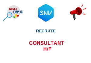 SNV RECRUTE CONSULTANT H/F