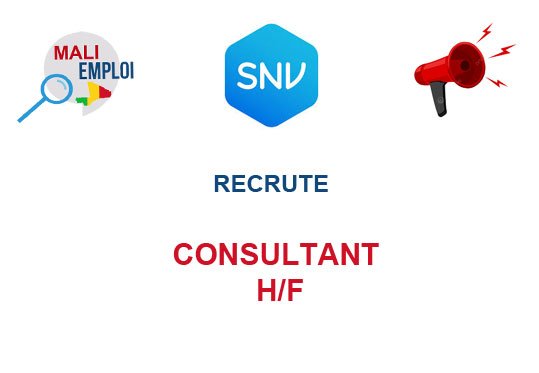 SNV RECRUTE CONSULTANT H/F
