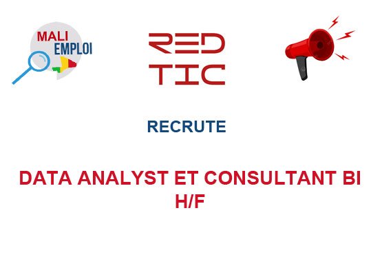 REDTIC RECRUTE DATA ANALYST ET CONSULTANT BI H/F