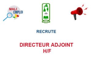 LE CENTRE DE SERVICE DU MALI RECRUTE DIRECTEUR ADJOINT H/F