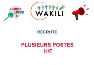 WAKILI SA RECRUTE PLUSIEURS POSTES H/F