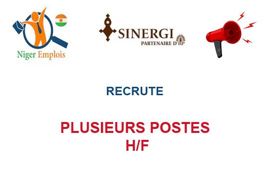 SINERGI NIGER RECRUTE PLUSIEURS POSTES H/F