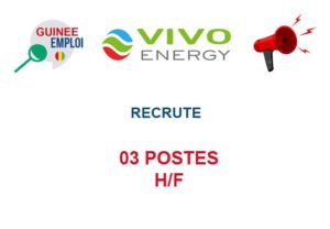 VIVO ENERGY RECRUTE 03 POSTES H/F