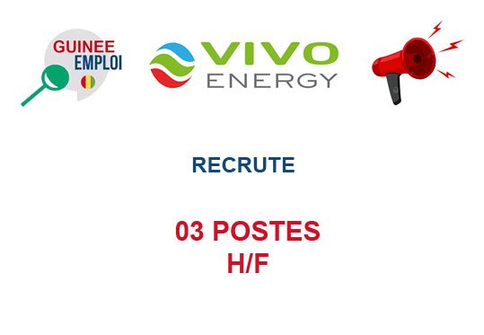 VIVO ENERGY RECRUTE 03 POSTES H/F