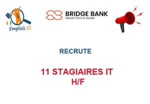 11-STG