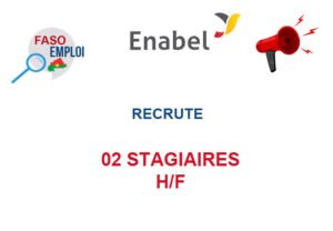 02-STAG (1)