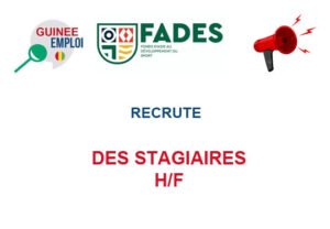 DES-STGS