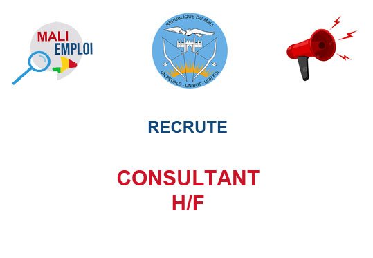 UMRSS RECRUTE CONSULTANT H/F