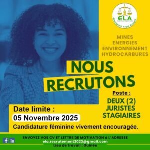 EMERGENCE LEGAL AFRIQUE RECRUTE 02 STAGIAIRES /F 1761317196675