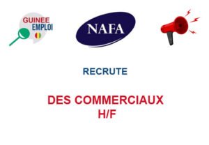 NAFA FINANCE RECRUTE DES COMMERCIAUX H/F DES-COM