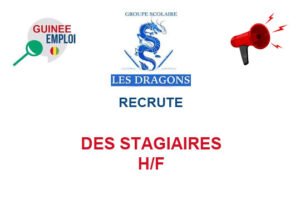 DES-STG