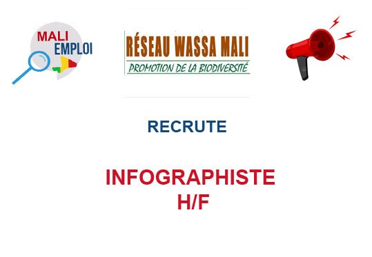 RESEAU WASSA MALI RECRUTE INFOGRAPHISTE H/F