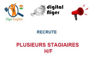 DIGITAL NIGER RECRUTE PLUSIEURS STAGIAIRES H/F