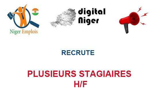 DIGITAL NIGER RECRUTE PLUSIEURS STAGIAIRES H/F
