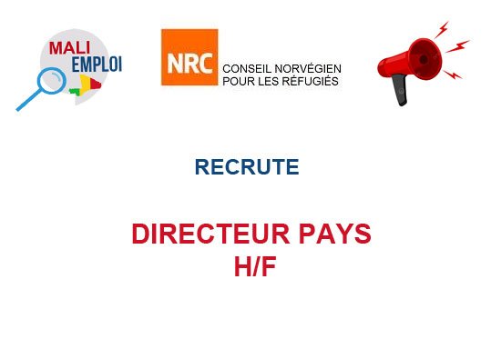 CONSEIL NORVEGIEN RECRUTE DIRECTEUR PAYS H/F