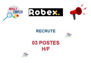 ROBEXGOLD RECRUTE 03 POSTES H/F 03-POSS