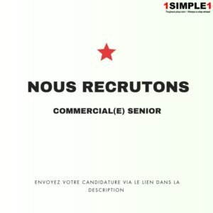 1SIMPLE1 RECRUTE COMMERCIAL SENIOR H/F 1762351730012