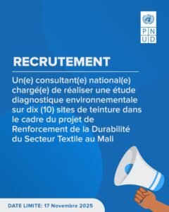 PNUD MALI RECRUTE CONSULTANT H/F 1762512373132