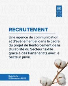 PNUD MALI RECRUTE AGENCE DE COMMUNICATION H/F 1763045062990 (1)