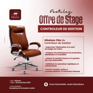 NIGER LAIT RECRUTE STAGIAIRE CONTROLEUR DE GESTION H/F 1763838949698