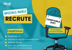 WIZALL MONEY MALI RECRUTE COMPTABLE H/F 574289151_122144054102935529_8090857209700978758_n