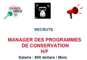 LE CENTRE DE CONSERVATION POUR CHIMPANZES RECRUTE MANAGER DES PROGRAMMES DE CONSERVATION H/F MAN