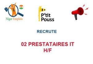 ONG PETITPOUSS-NIGER RECRUTE 02 PRESTATAIRES IT H/F ONG PETITPOUSS-NIGER RECRUTE 02 PRESTATAIRES IT H/F