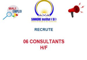SNAKORE INSTITUTE RECRUTE 06 CONSULTANTS H/F