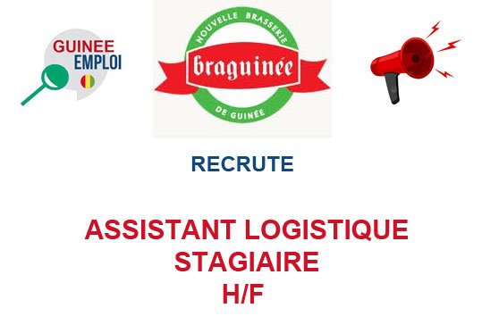 BRAGUINEE RECRUTE ASSISTANT LOGISTIQUE STAGIAIRE H/F