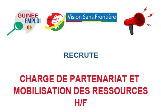 ONG VISION SANS FRONTIERES RECRUTE CHARGE DE PARTENARIAT ET MOBILISATION DES RESSOURCES H/F