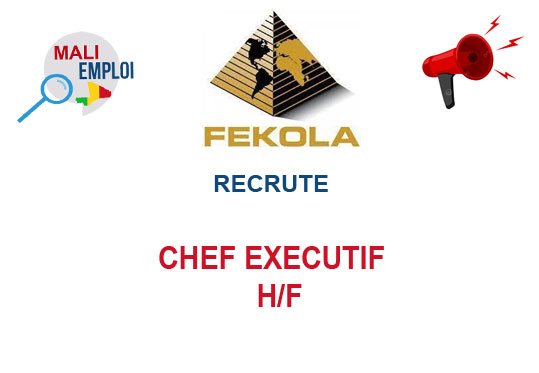 FEKOLA RECRUTE CHEF EXECUTIF H/F