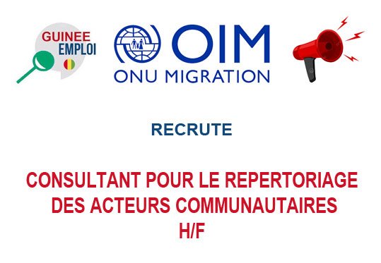 OIM GUINEE RECRUTE CONSULTANT H/F
