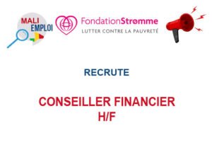 LA FONDATION STROMME RECRUTE FINANCE ADVISOR H/F LA FONDATION STROMME RECRUTE FINANCE ADVISOR H/F