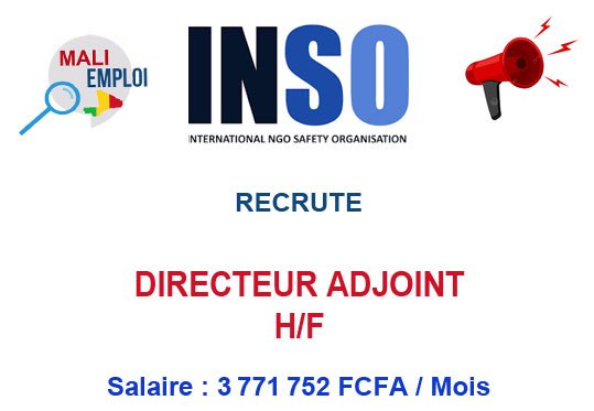 INSO RECRUTE DEPUTY DIRECTOR (DIRECTEUR ADJOINT) H/F