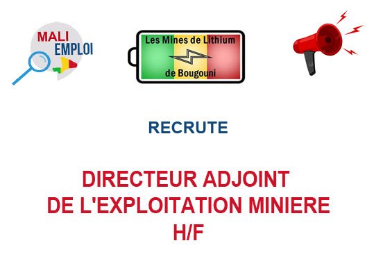 LES MINES DE LITHIUM DE BOUGOUNI SA RECRUTE DIRECTEUR ADJOINT DE L'EXPLOITATION MINIERE H/F