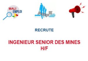 ANPE RECRUTE INGENIEUR SENIOR DES MINES H/F