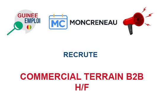 MONCRENEAU RECRUTE COMMERCIAL TERRAIN B2B H/F