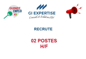 GI EXPERTISE RECRUTE 02 POSTES H/F image