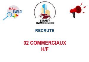 SIRANY IMMOBILIER RECRUTE 02 COMMERCIAUX H/F 02-COM