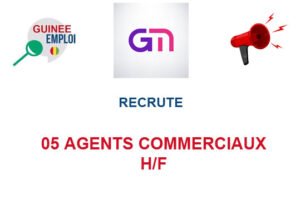 GNAKRY MAP RECRUTE 05 COMMERCIAUX TERRAIN H/F 05-AGTC