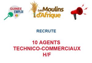 LES MOULINS D'AFRIQUE RECRUTE 10 AGENTS TECHNICO-COMMERCIAUX H/F