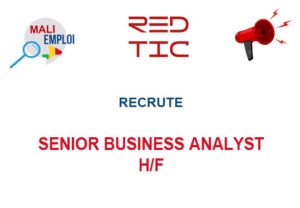 REDTIC RECRUTE SENIOR BUSINESS ANALYST H/F SNIOBUS