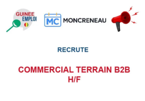 MONCRENEAU RECRUTE COMMERCIAL TERRAIN B2B H/F image