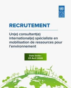 PNUD MALI RECRUTE CONSULTANT H/F 1775735614165